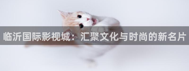 yy6090高清影院青苹果