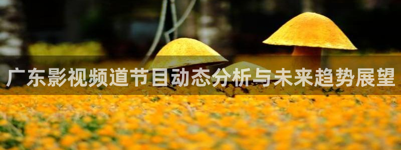 yy6090免费观看青苹果影院