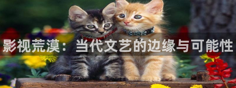 yy6090免费观看青苹果影院